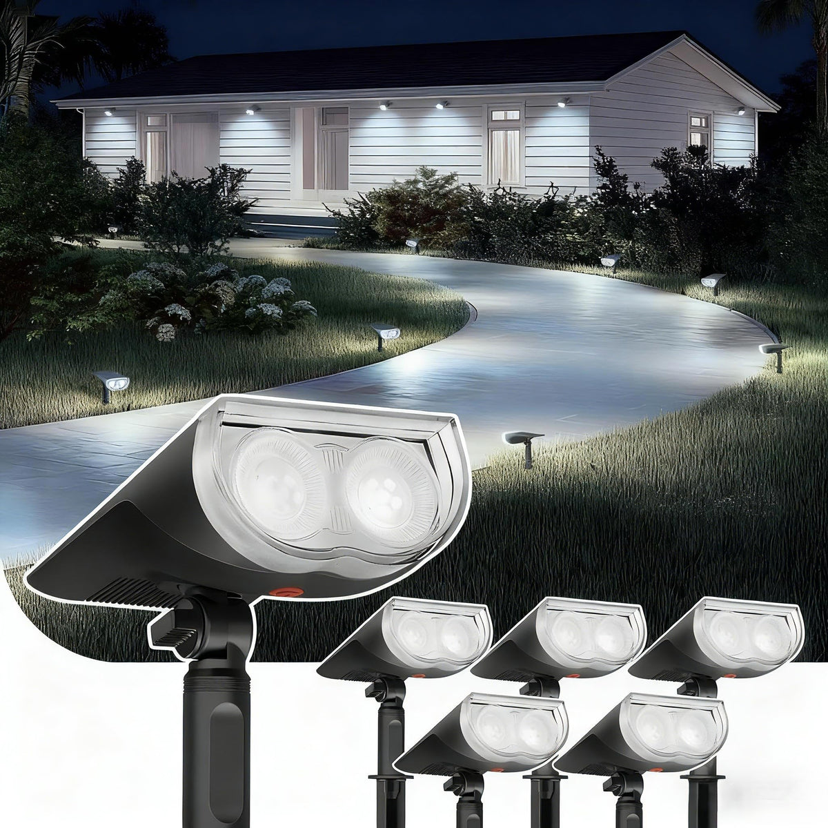 Landscape & Spot Lights