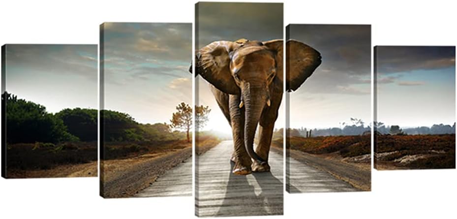 Multi-Panel Canvas Sets