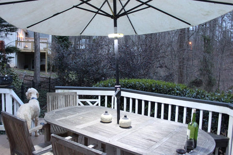 Pool & Patio Umbrellas