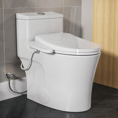 Smart Toilets