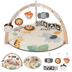 Activity Gyms & Play Mats