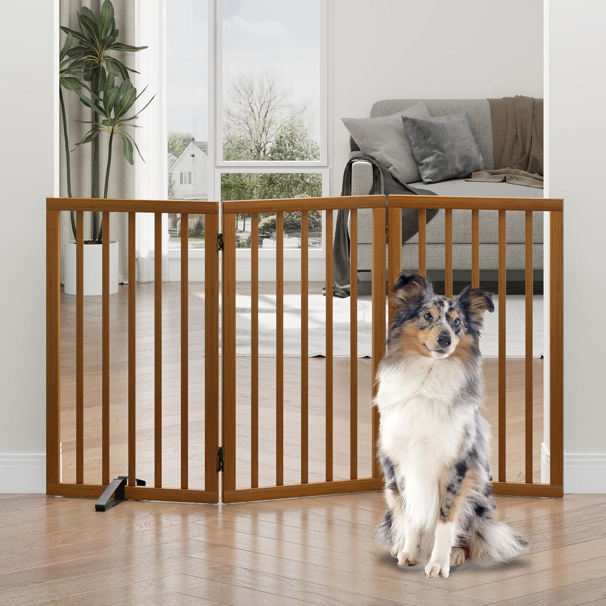 Decorative Pet Gates