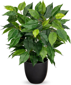 Faux Fiddle Leaf Fig & Ficus Trees