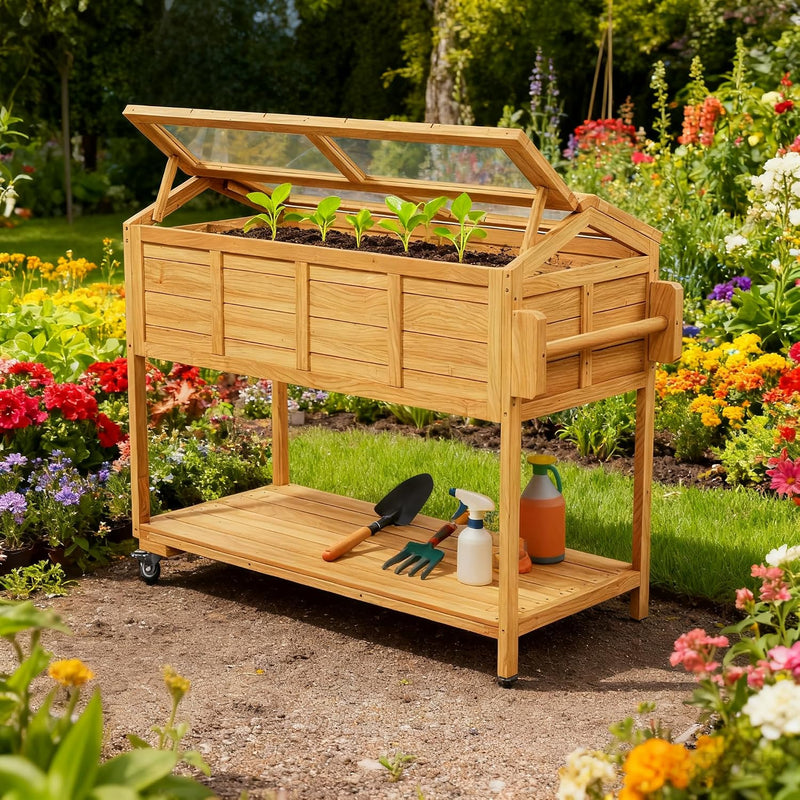 Raised Garden Beds