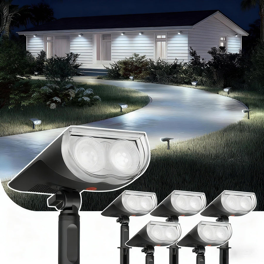 Landscape & Spot Lights