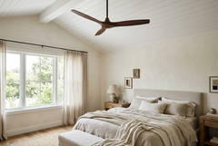 Ceiling Fans