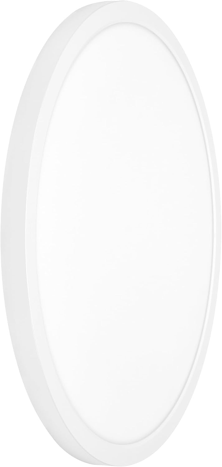 19" White LED Flush Mount Ceiling Light Fixture, 2500 Lumens, 5 CCT | , Round Color Selectable Panel Light, Dimmable