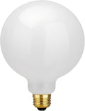 G40 LED Large Globe Lights, G125 E26 60W Big Bulbs 5000K Daylight