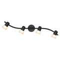 Black Track Lighting Kit with Glass, 4 Light