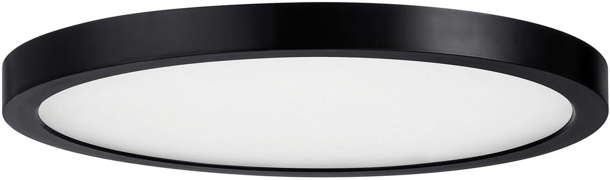 Assets T24 Compliant Outdoor Low Profile Flush Mount, Integrated LED 25 Watt, 1" H x 12" W, Black