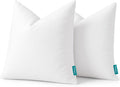 Throw Pillow Inserts, 22x22 - Set of 2
