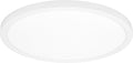 19" White LED Flush Mount Ceiling Light Fixture, 2500 Lumens, 5 CCT | , Round Color Selectable Panel Light, Dimmable