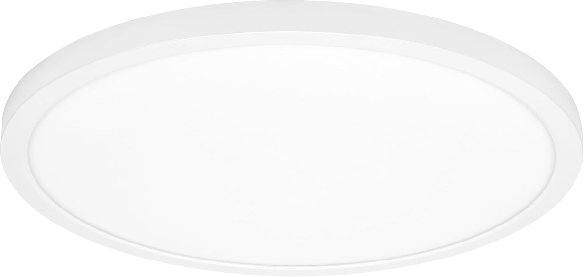 19" White LED Flush Mount Ceiling Light Fixture, 2500 Lumens, 5 CCT | , Round Color Selectable Panel Light, Dimmable