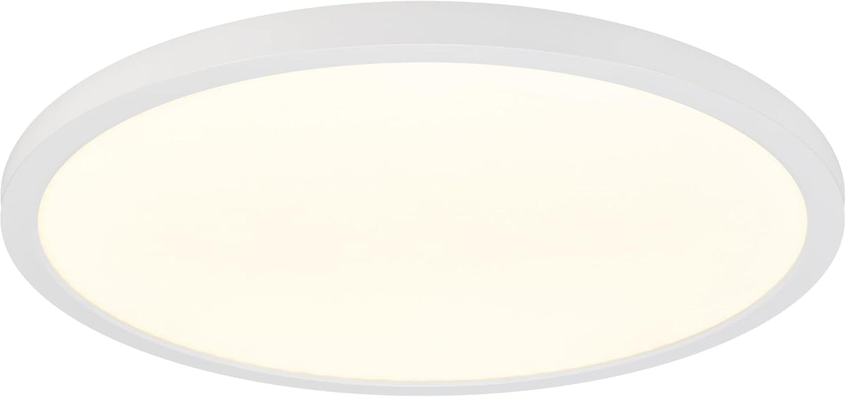 19" White LED Flush Mount Ceiling Light Fixture, 2500 Lumens, 5 CCT | , Round Color Selectable Panel Light, Dimmable