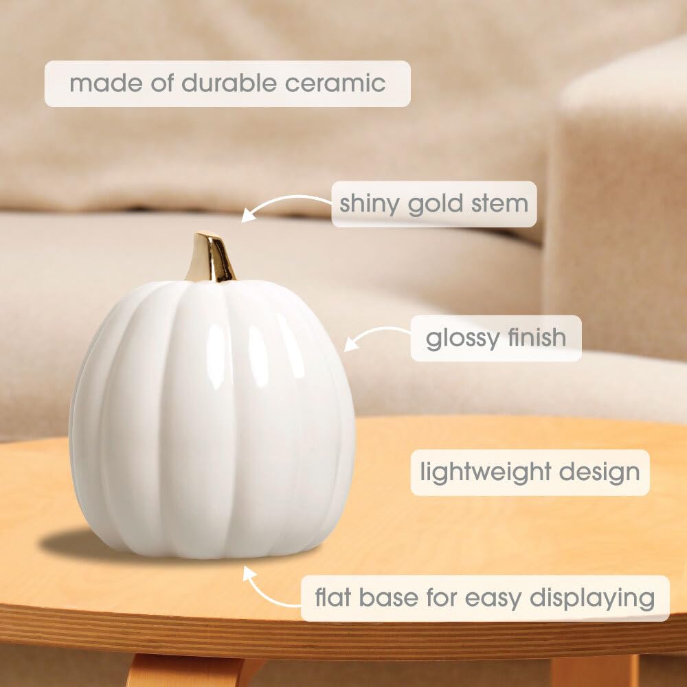 Ceramic Pumpkin Fall Decor with Gold Stem, White
