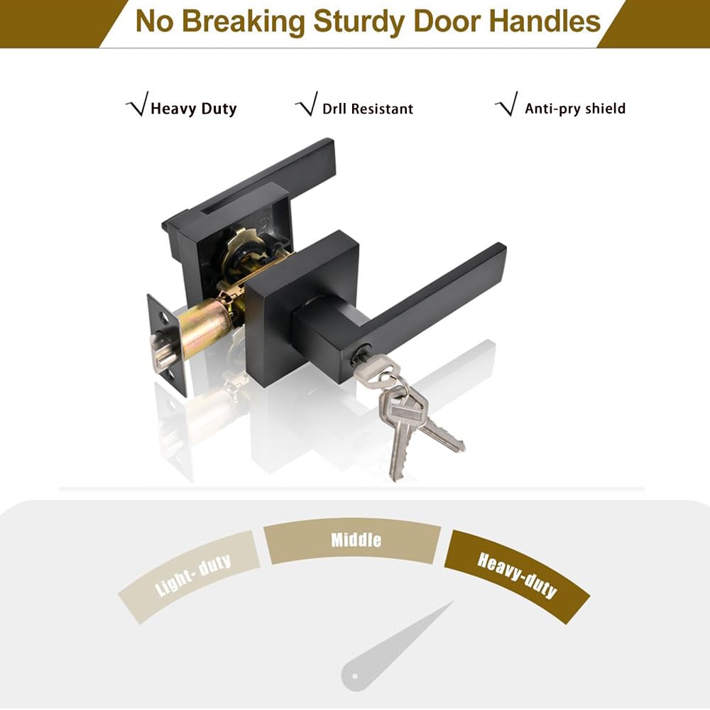 High-Security Stainless Steel Door Lever with Lock & Key(Black)