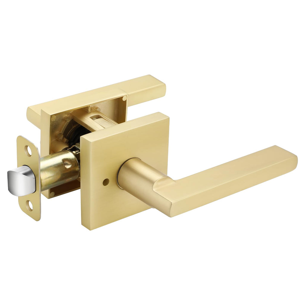 Brushed Gold Door Handles Interior, Gold Privacy Door Handle, 1 Pack