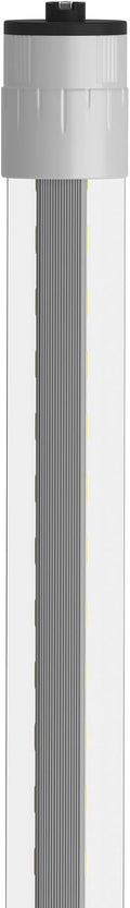 (2) 4 ft. T12/HO LED F48T12/CW/HO, Type A Plug & Play, 4100K Cool White, 2S