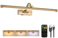Picture Light Battery Operated with Remote, 3CCT Dimmable Picture Light for Paintings, Brass Rechargeable 24 inch