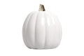 Ceramic Pumpkin Fall Decor with Gold Stem, White