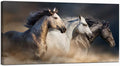 Large Animal Pictures Wall Art Desert Running Horses Painting Picture Print on Canvas Modern Living Room Office Wall