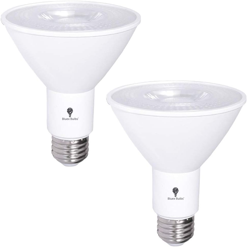 2 Pack PAR30 Outdoor LED Flood Light Bulb 12W 100 Watt Equivalent 900 Lumens Dimmable Waterproof E26 3000K Warm White