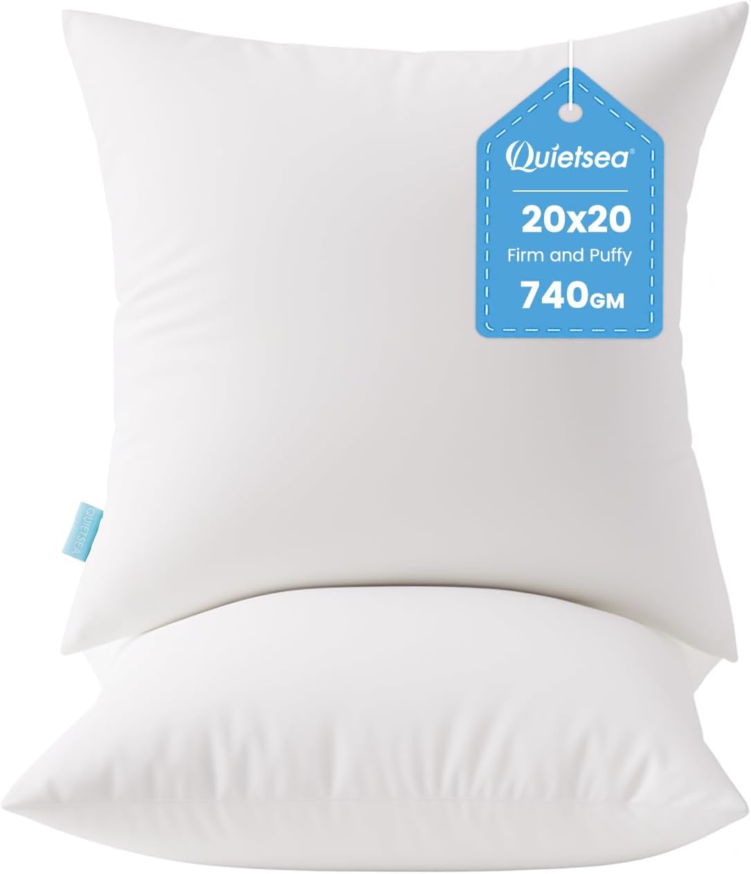 20x20 Pillow Inserts, 2 Pack Down Alternative Throw Pillow Inserts - Set of 2