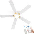 52" Outdoor Smart Ceiling Fan with Light & Remote