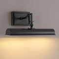 Picture Light for Wall, 12 Inch Black Wall Light Hardwired, 270° Rotatable, E12 Base, 2-Light Picture Frame Lights