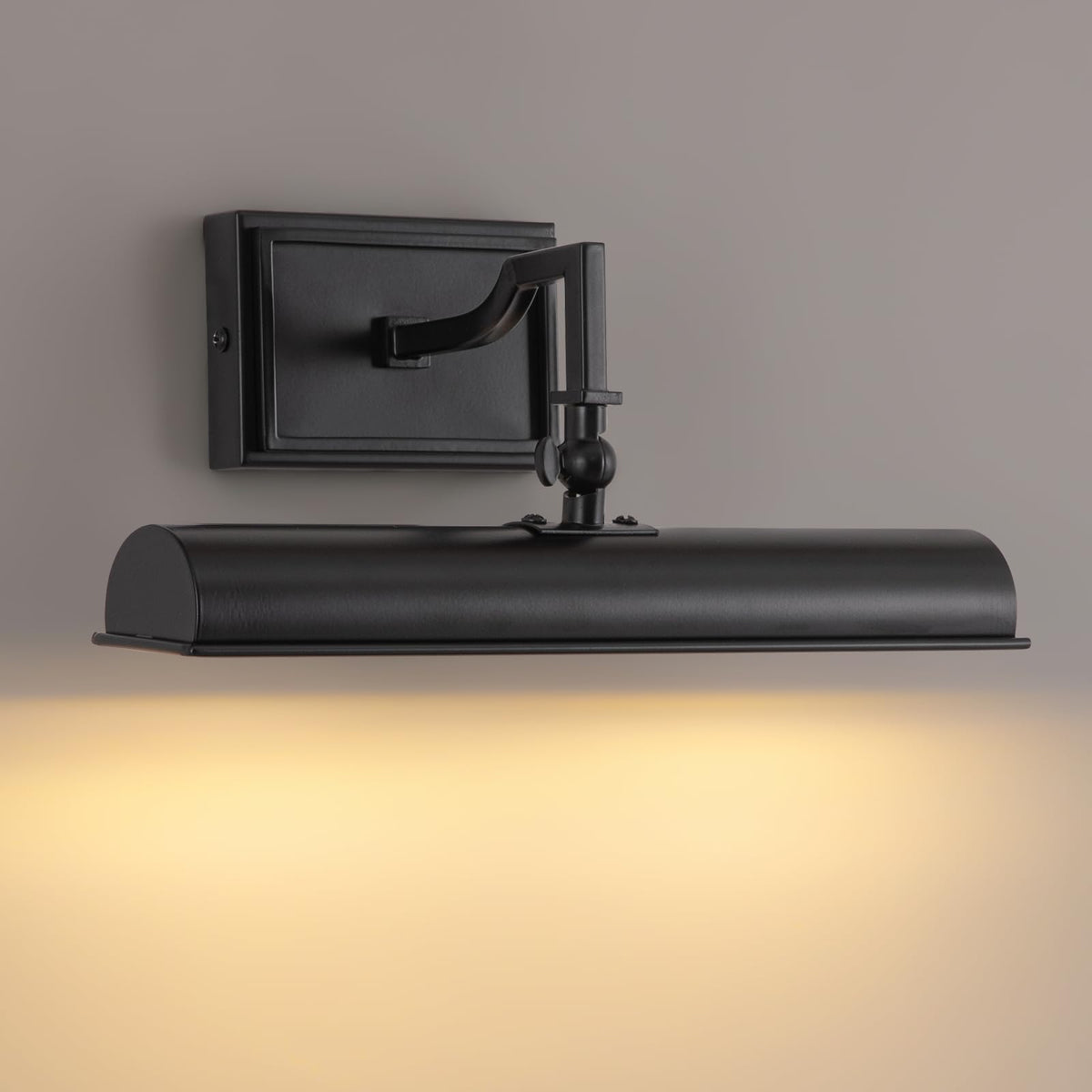 Picture Light for Wall, 12 Inch Black Wall Light Hardwired, 270° Rotatable, E12 Base, 2-Light Picture Frame Lights