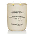 Natural Soy Large Candle| Eucalyptus Mint | 16.6 oz, 95H Burn | Scented Candles for Relaxation, Meditation, Home