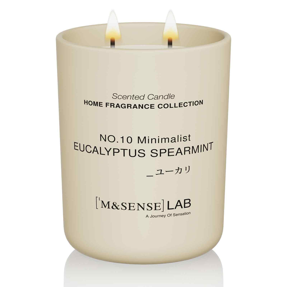 Natural Soy Large Candle| Eucalyptus Mint | 16.6 oz, 95H Burn | Scented Candles for Relaxation, Meditation, Home
