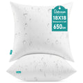 18x18 Outdoor Throw Pillow Inserts - Set of 2 Waterproof Cushions