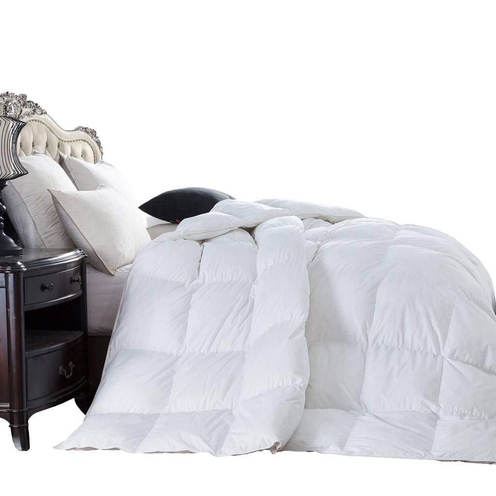 600 Thread Count King/Cal King Size Goose Down Alternative Comforter 100% Egyptian Cotton 600 TC - 50Oz - Solid