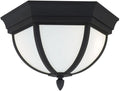 Wynfield Two Light Outdoor Ceiling Flush Mount, Black Finish