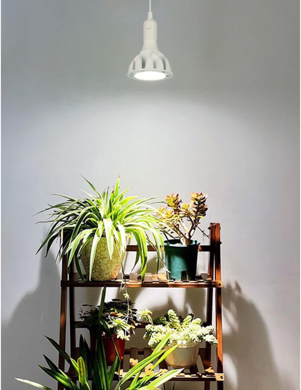 PAR38 Flood Light LED Bulb 20 Watt COB Grow Lights (150 Watt Eqv.) 2000 Lumens Spotlight, 36° Beam Angle, AC