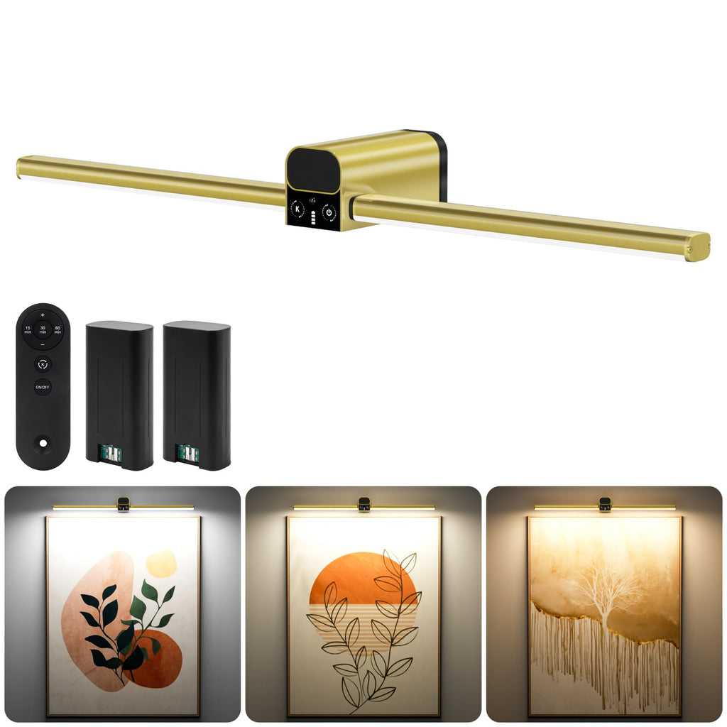 20 Inch Picture Light for Wall, 10000mAh Rechargeable Battery Operated Cordless LED Art Display Light with Remote &