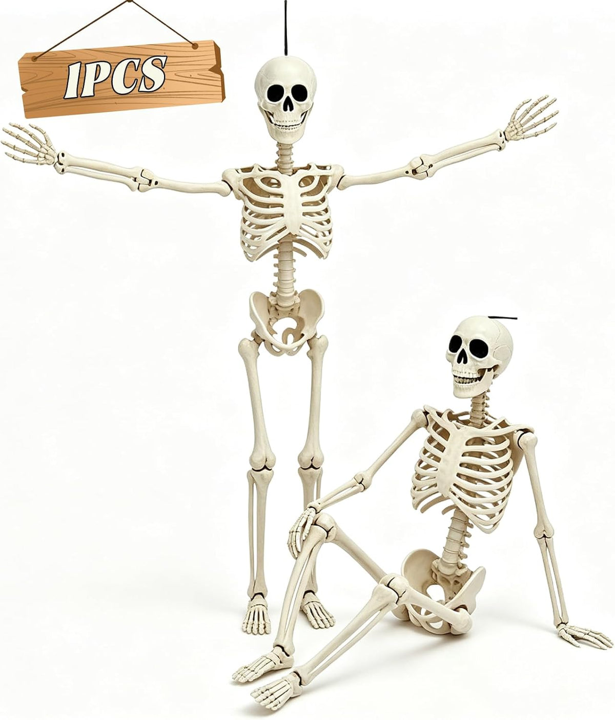 5.75ft Life Size Posable Halloween Skeleton, Movable Joints