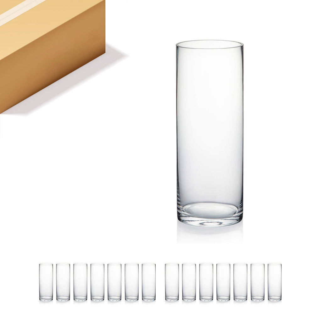 Quality Thick Clear Cylinder Glass Vases, 3" W x 8" H, Bud Vase Skinny Narrow Floral Bouquet Flower Container for