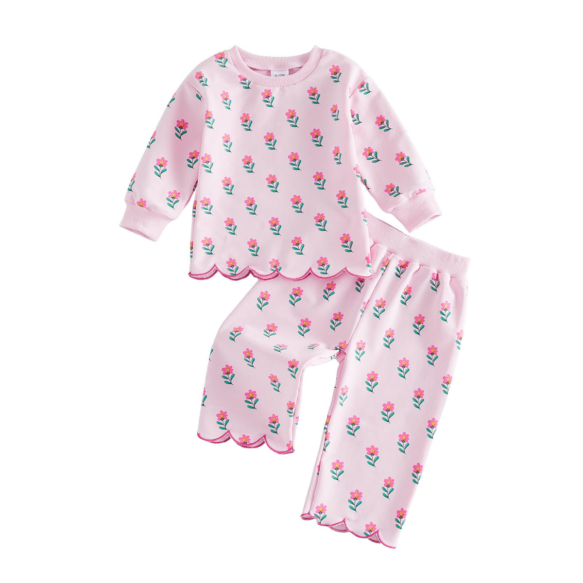 Toddler Baby Girl Clothes Floral Sweatshirt Pants Sets Pink