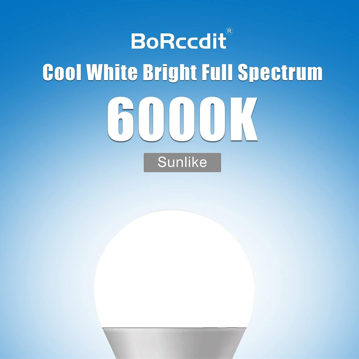 SunLike Full Spectrum Light Bulb 15W 1000lm Bright, Flicker-Free & UV-Free & Vivid 90+ CRI Comfort LED, A19 E26