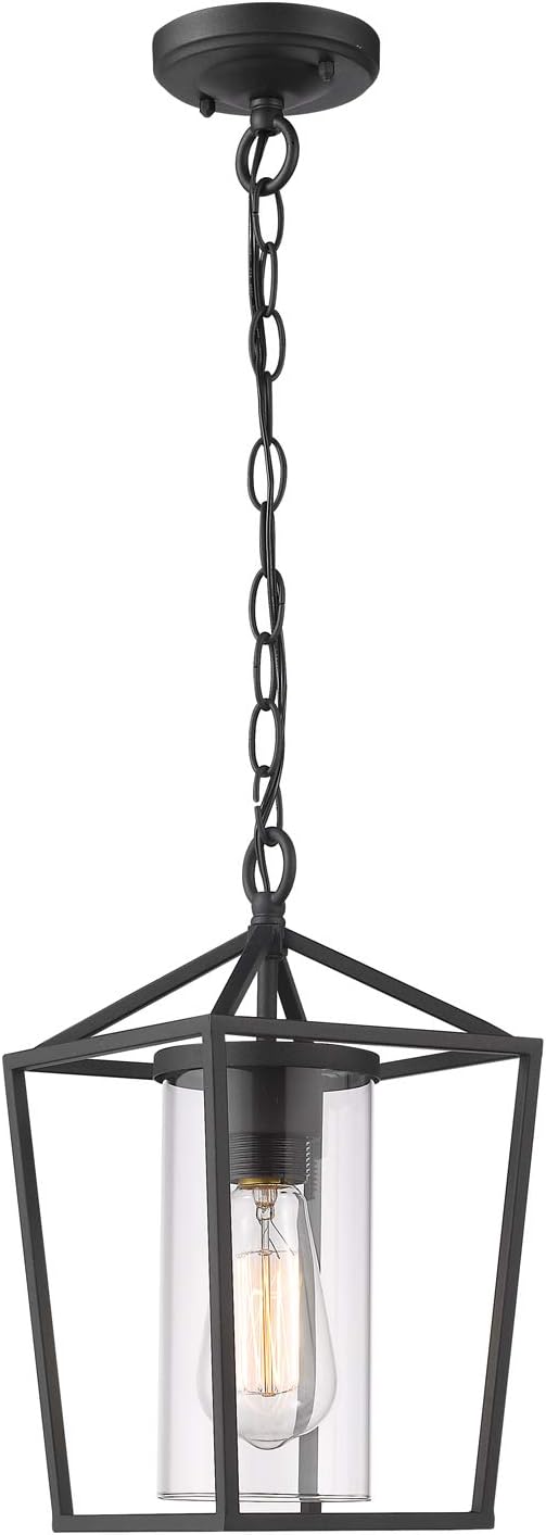 Modern Outdoor Pendant Light, 1-Light Outdoor Hanging Lantern Light in Black Finish with Clear Glass, 20065H BK