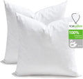 Ogranic Feathers Down Pillow Inserts 22x22, White - Set of 2
