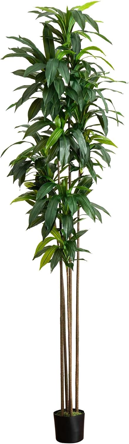 10ft. Artificial Dracaena Tree with Real Touch Leaves