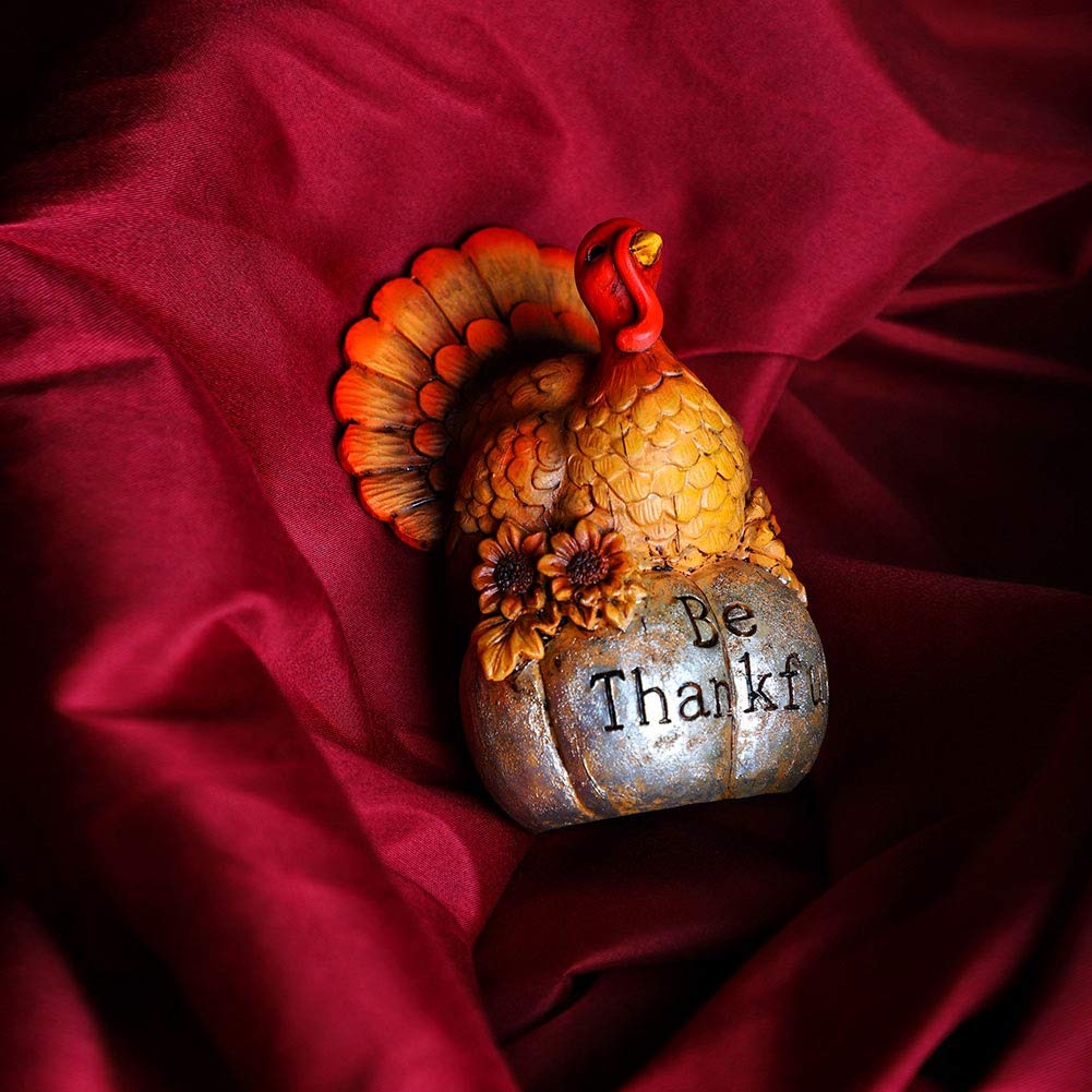 Thanksgiving Decorations Hand-Painted Turkey Pumpkin, Tabletop Turkey Fall Autumn Decor Bedroom Kitchen Thanksgiving