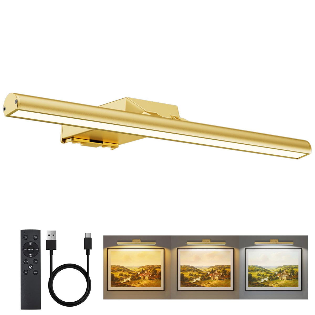 16" Picture Lights for Wall - 10000mAh Rechargeable Art Light