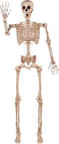 5.6 FT Halloween Posable Life Size Skeleton, Full Body Realistic Bones with Movable Joints, Giant Skeletons Halloween