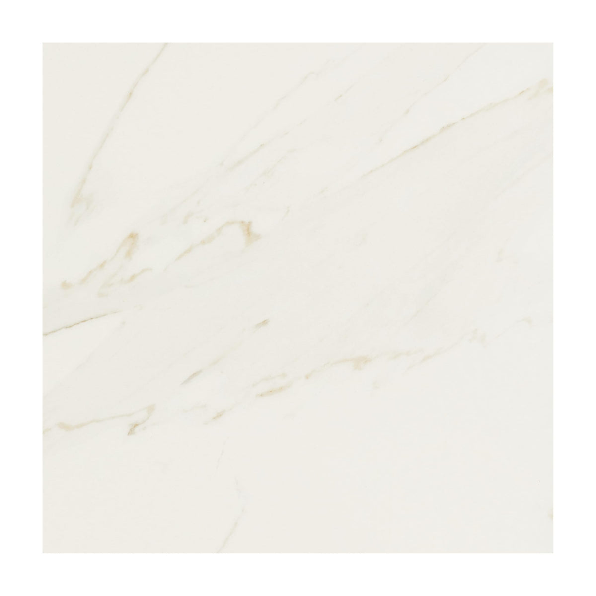 Florentine 12" X 12" Glazed Porcelain Floor Tile in Carrara (13 PC Per Carton) (12.22 SQFT Per Carton)
