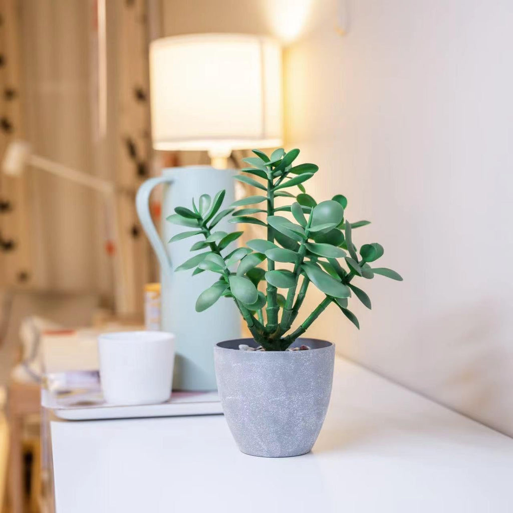 12" Artificial Jade Plant in Minimalist Gray Pot, Luxury Real-Touch Faux Succulent Crassula Ovata with Pebbles