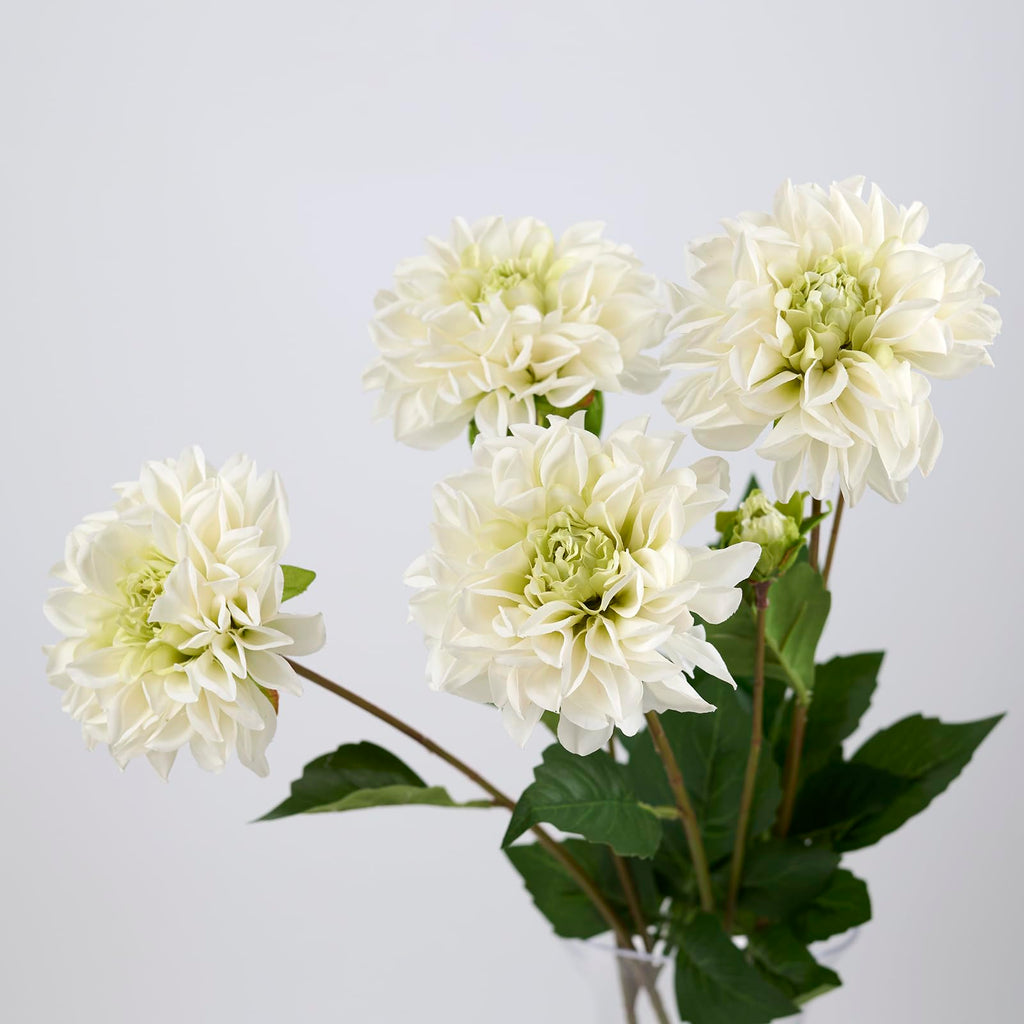 Real Touch Artificial Dahlia Stems, 4PCS Faux Flowers(White)